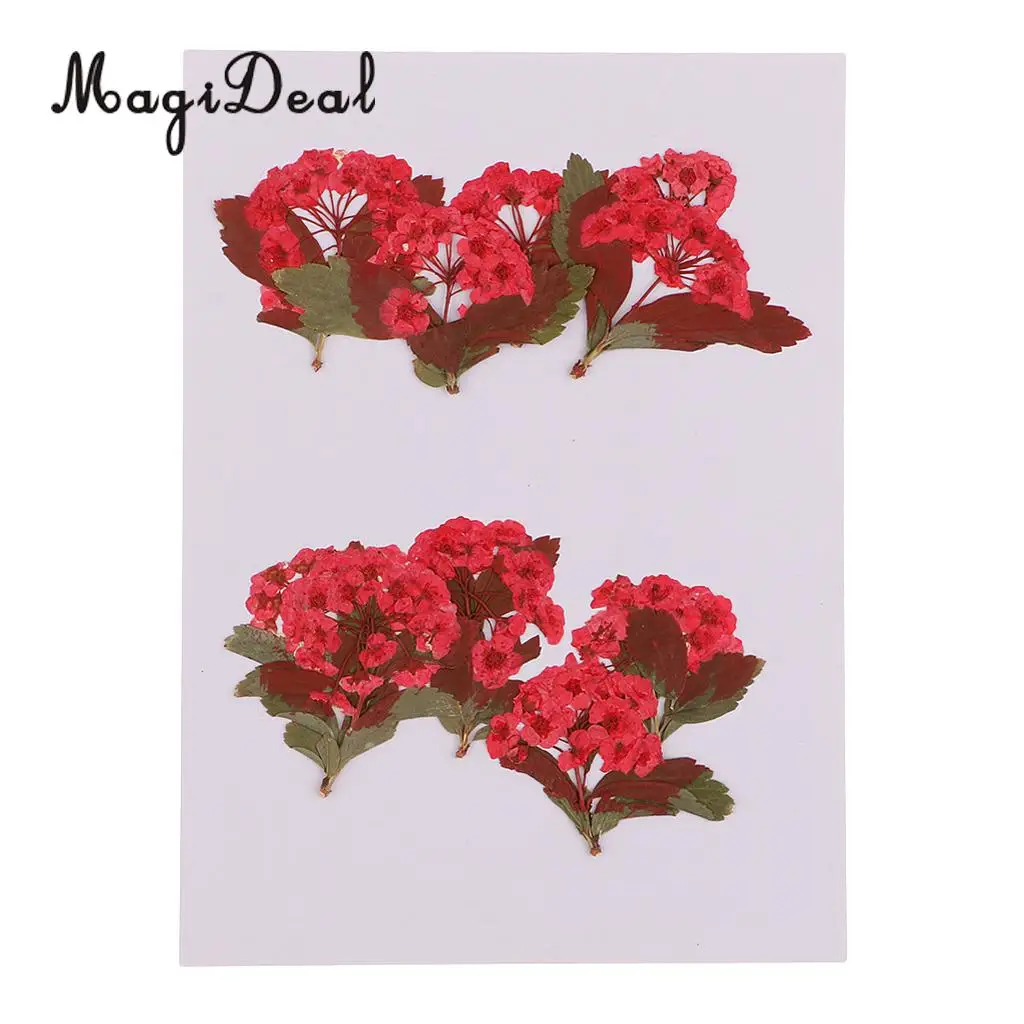10pcs Red Flower Natural Real Pressed Dried Flower for Jewelry Making Handmade DIY Resin Ornament Crafts