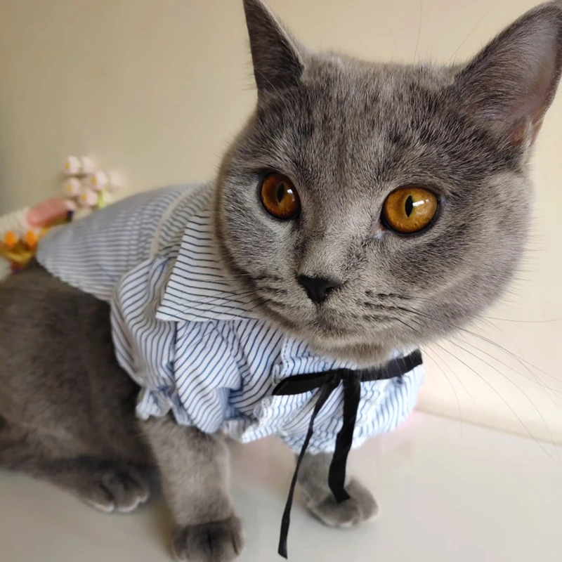 Милая полосатая рубашка для питомца кота, юбка, хлопковая одежда для кошек, летние платья для домашних животных, одежда для маленьких кошек, собак, каттенов, одежда Kedi ropa para gato