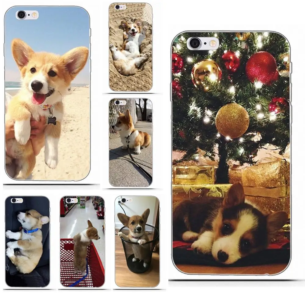 Wexoeq мягкие Hotsales для Apple iPhone 4 4S 5 5C 5S SE 6 S 7 8 Plus X корги щенок|Бамперы| |
