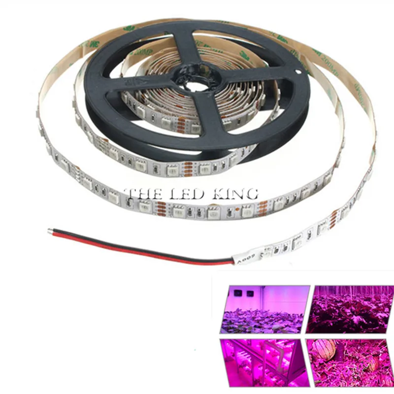 

LED Plant Grow Lights 1M 2M 3M 4M 5M SMD 5050 DC12V Flexible LED Grow Strip Light for Greenhouse Hydroponics Plant Vegetable