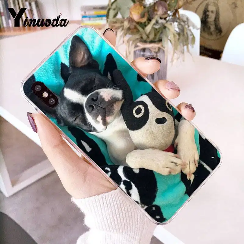 Прозрачный чехол для телефона Yinuoda Animal boston terrier dog iPhone 8 7 6 6S Plus X 5 5S SE XR XS XSMAX11 11pro