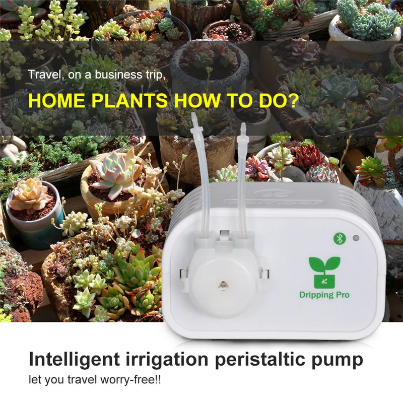 self watering device (4)