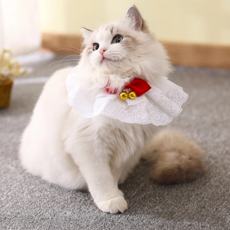 @ HE Pet Cat ожерелье шарф Регулируемый собака цветок нагрудник Свадебные аксессуары