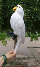 simulation parrot large 43x20cm model toy lifelike white parrot model handicraft decoration gift t399