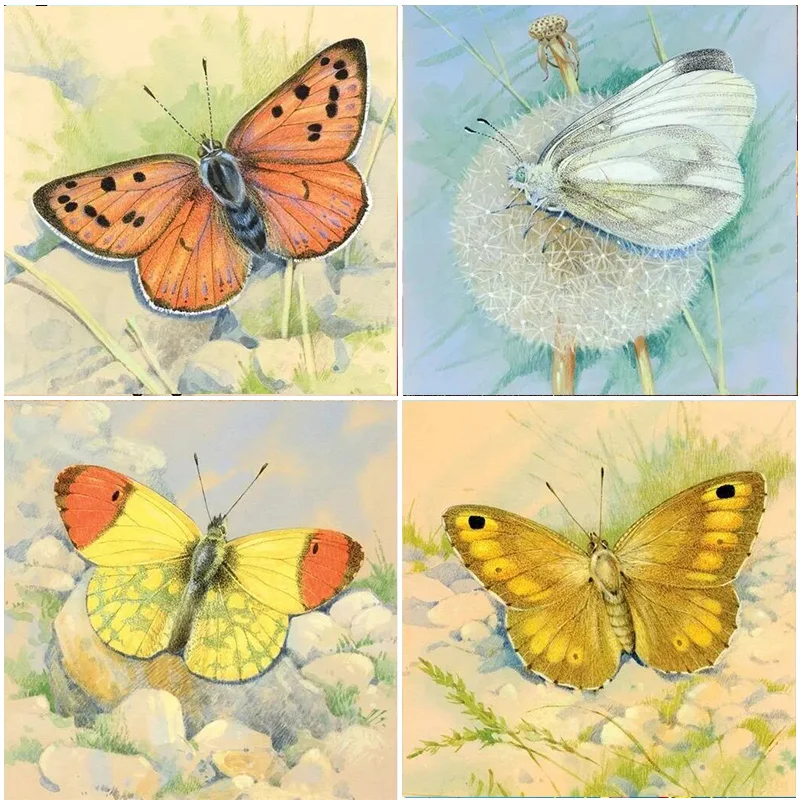 

Butterfly Beauty Canvas 5D Diamond Painting Full Square Kits Embroidery Drill Room Decorations Animal Cross Stitch Gift Europe