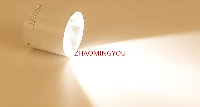 2020 Surface Mounted Dimmable COB LED Downlights 6W 9W 12W 20W 25W 30W LED Ceiling Lamps Spot Light Downlights AC85-265V