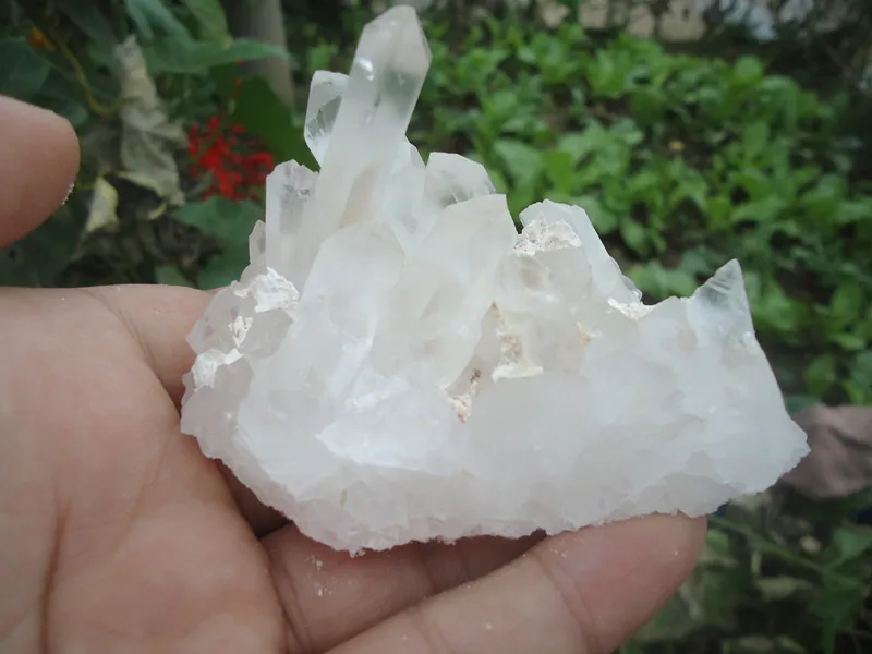 White crystal отзывы. кристал тисига. аттар белый. White crystal отзывы. White crystal отзывы.