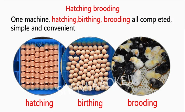 80 Вт миниатюрный инкубатор для цыплят 64 шт. Автоматический Инкубатор бытовой небольшой инкубатор многофункциональный яйцо инкубационное 1
