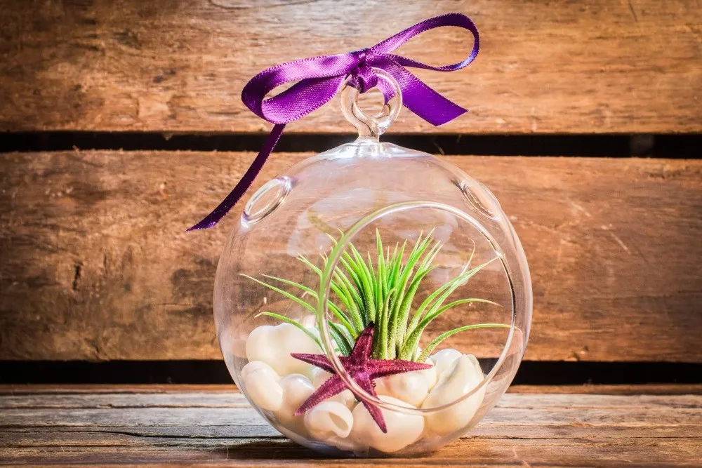 12pcs-lot-8cm-glass-tealight-holders-Dia-10cm-glass-candle-holder-for-wedding-candlestick-hanging-planters (1)