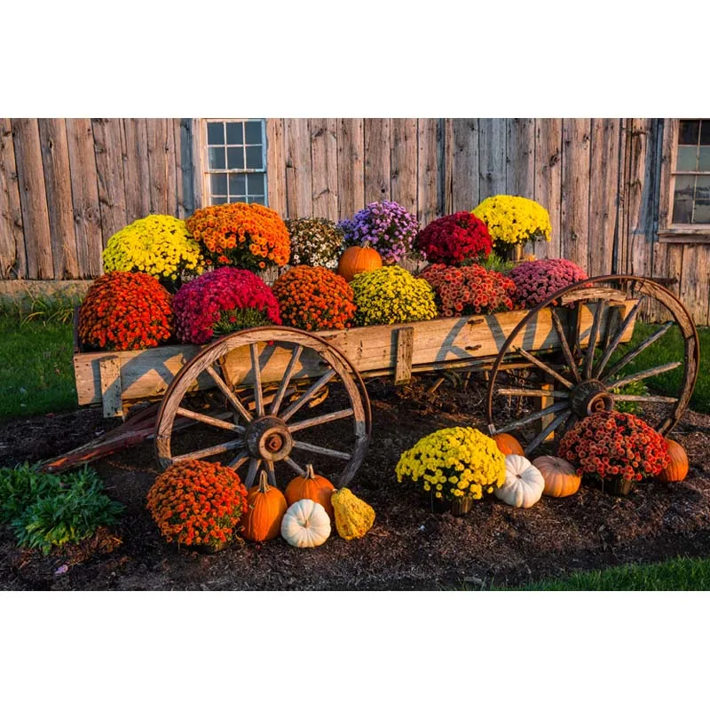 

Halloween Vinyl photography background Computer printing pumpkin Photography backdrops for Photo studio HA-190