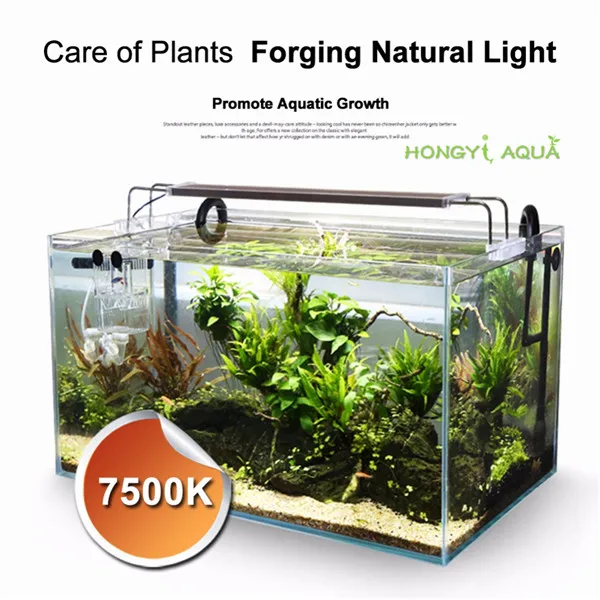 aquarium led lighting plants