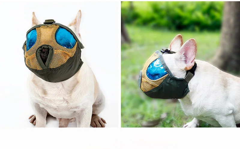 Short Snout dog Muzzle (2)