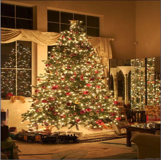 christmas tree books promotion shop for promotional christmas tree books promotion shop for promotional