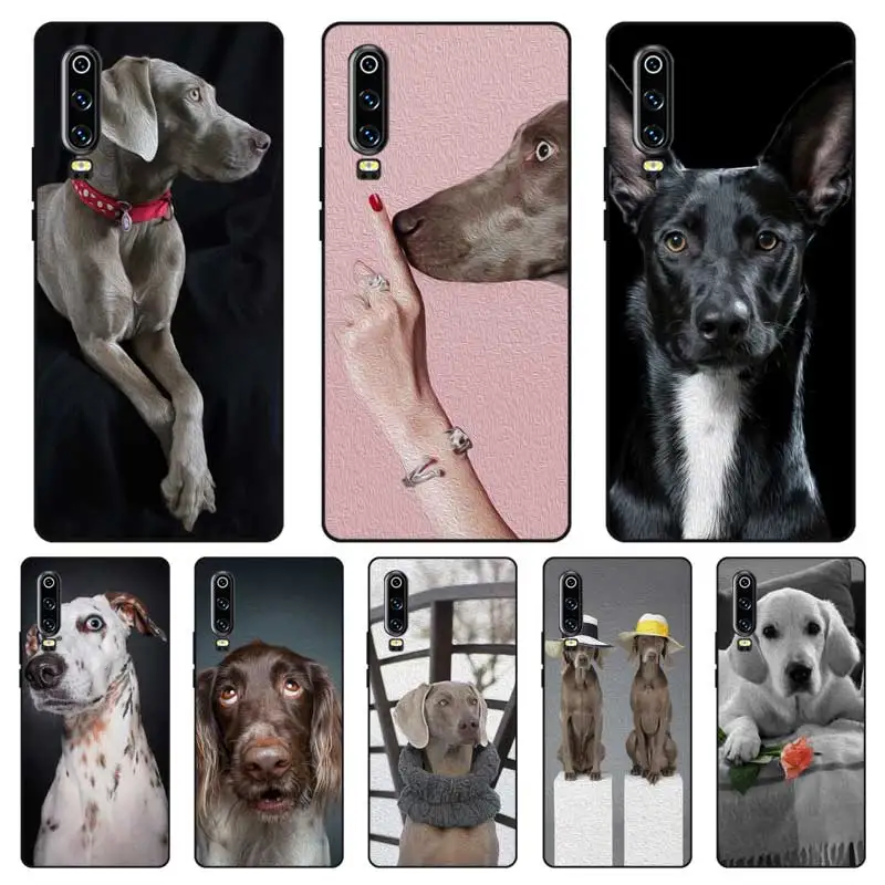 N464 Weimaraner Cute Black Silicone Case Cover For Huawei P8 P9 P10 P20 P30 Lite Pro P Smart Plus 2017 2019 |