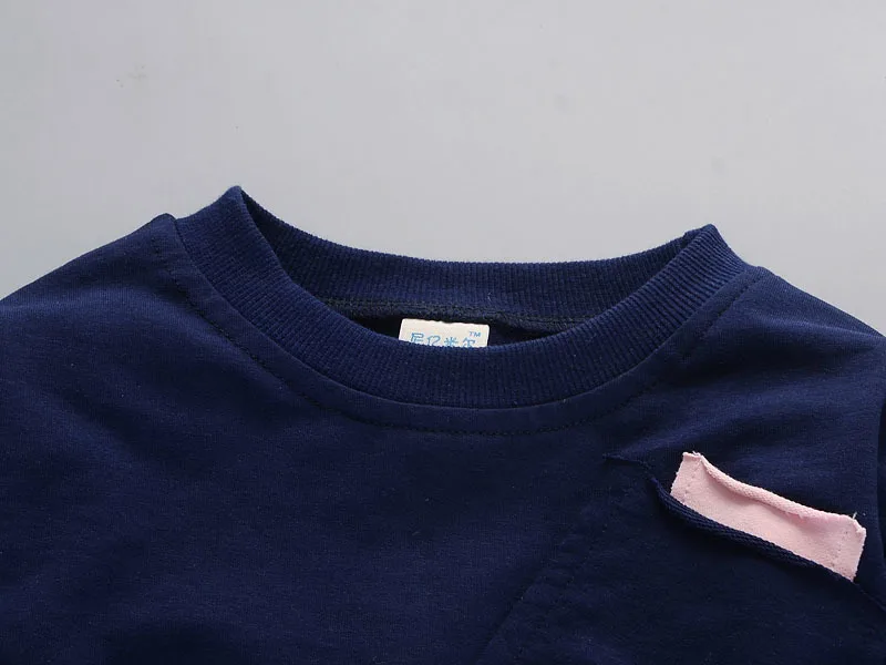 Autumn Children Boys Girls Fashion Clothes Baby Long Sleeve T-shirt Pants 2pcs Suits Kids Clothing Sets Toddler Brand Tracksuits