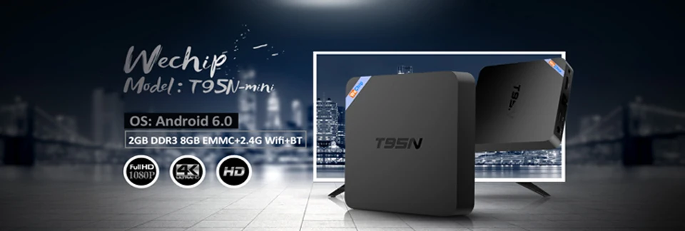 T95N1