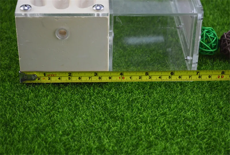 Earth Formicarium designed with ants in mind this sturdy gypsum and acrylic nest measures   (8)