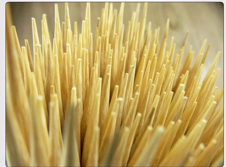 Meat food disposable sticks (16)