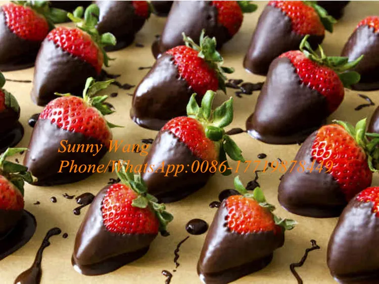 strawberries-in-chocolate-thumb_副本
