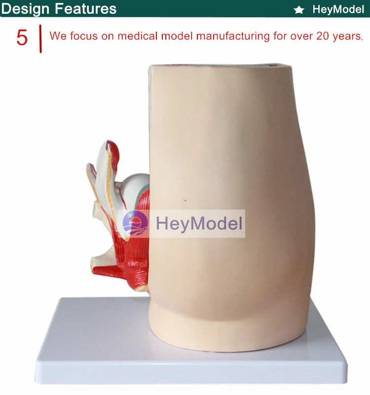 5._