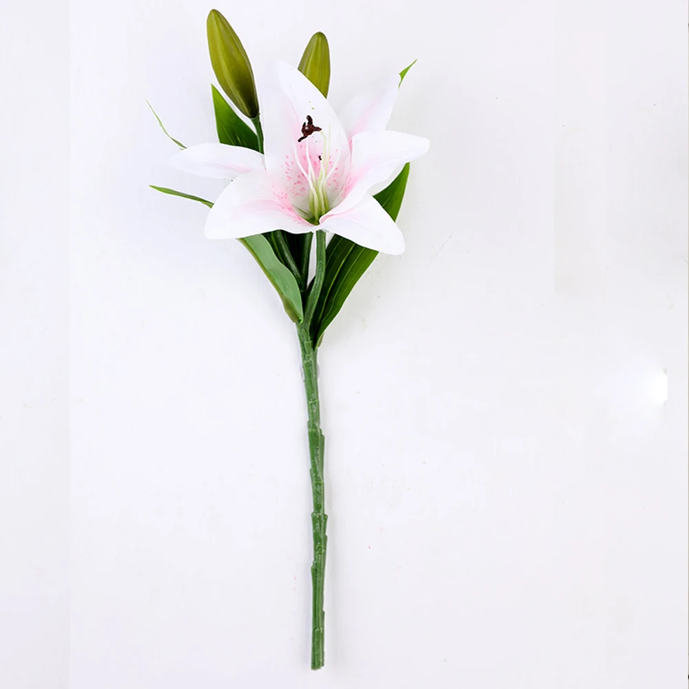 12_5c8f6d2a00267