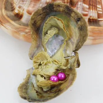 

10PCS Rainbow randomly mix colors Unicorn Mysterious seawater Oyster Twins set Pearls Inside charming Funny Birthday Gift AR031