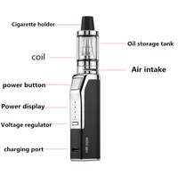 Electronic Cigarettes