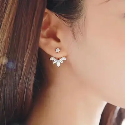 

925 pure silver stud earring neckband zircon earrings accessories personalized fashion female honey summer gift