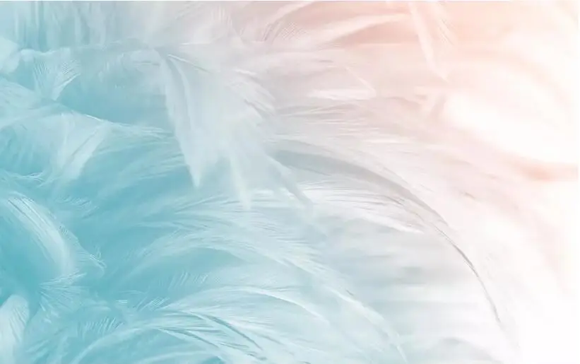 QQ20181017001312
