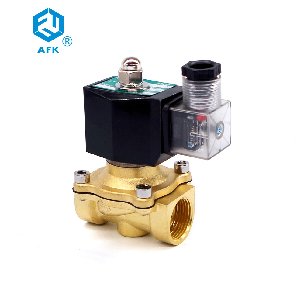 solenoid valve with timer (3)