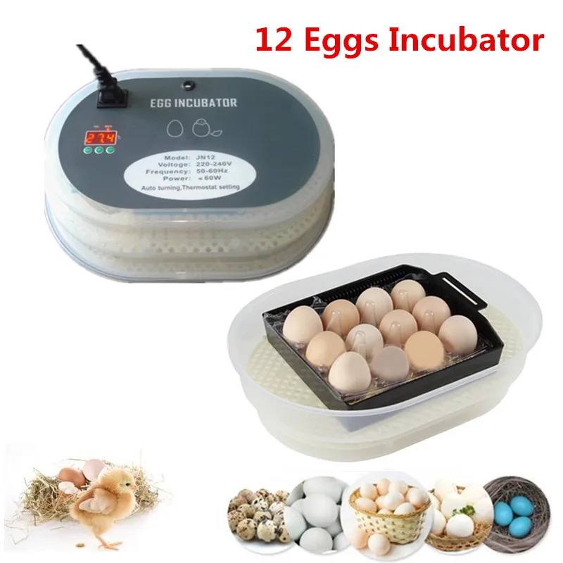 

Hot sale 12 Egg Auto Hatcher Digital Egg Turner Incubators Brooder Chicken Egg Poultry Incubator China