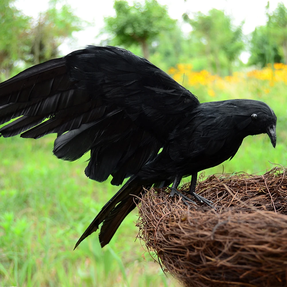 

Crow Decoration Simulated Crow for Party Decoration Crow Decoys Halloween Raven Large Crow Prop