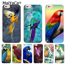 coque iphone xr perroquet coque iphone xr perroquet