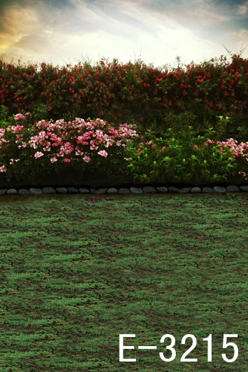 free digital backgrounds
