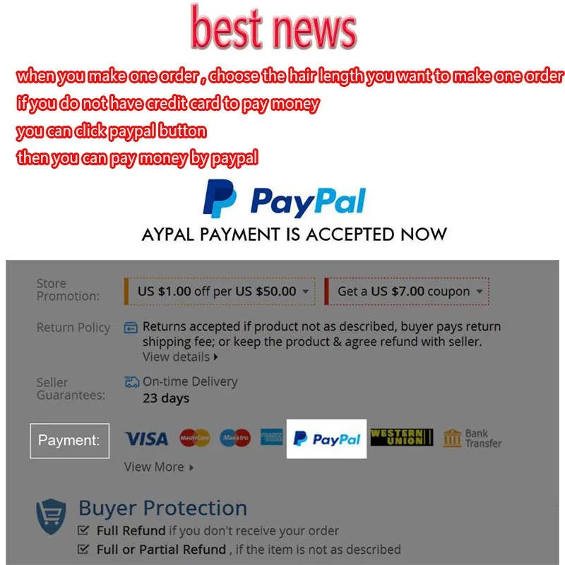 paypal payment