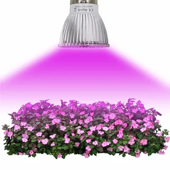 

LED Grow Light Bulb E27 E14 GU10 Red Blue Led Plant Growth Lamp For Greenhouse Hydroponics Indoor Plant AC85-265V 100 pcs