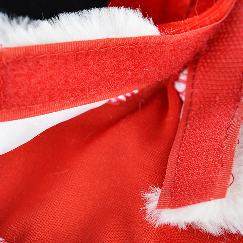 Dog Christmas Outfit Image 7