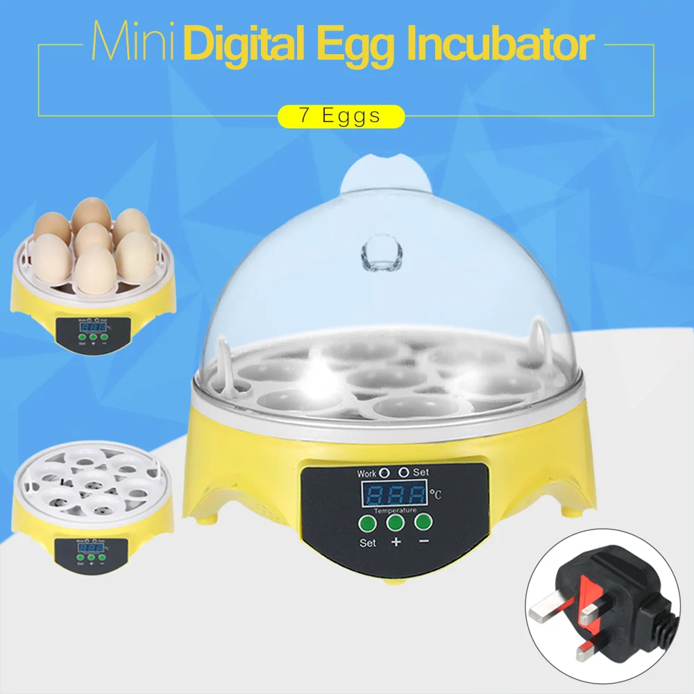 7 Eggs Incubator Hatcher Transparent Eggs Hatching Machine Automatic Temperature Control for Chicken Duck Bird Eggs 7 Eggs Incubator Hatcher Transparent Eggs Hatching Machine Automatic Temperature Control for Chicken Duck Bird Eggs