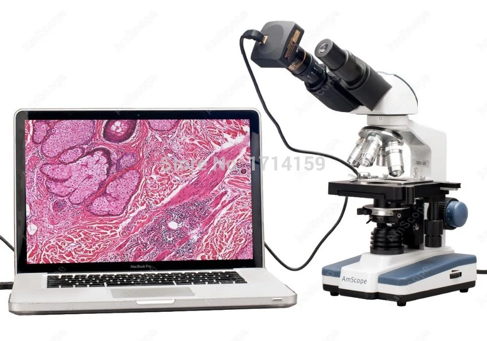 AmScope 교육 및 훈련 용품, LED 쌍안 디지털 복합 현미경, 3D 스테이지 및 10MP 카메라 포함, 40X-2000X