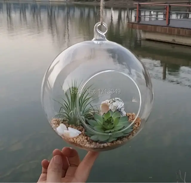 6pcs Set Gl Orb Planter Vases Hanging Globe Terrarium Kit For 6pcs Set Gl Orb Planter Vases Hanging Globe Terrarium Kit For Garden Decor