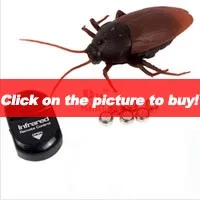 HTB1H9V7oSYH8KJjSspdq6ARgVXa4