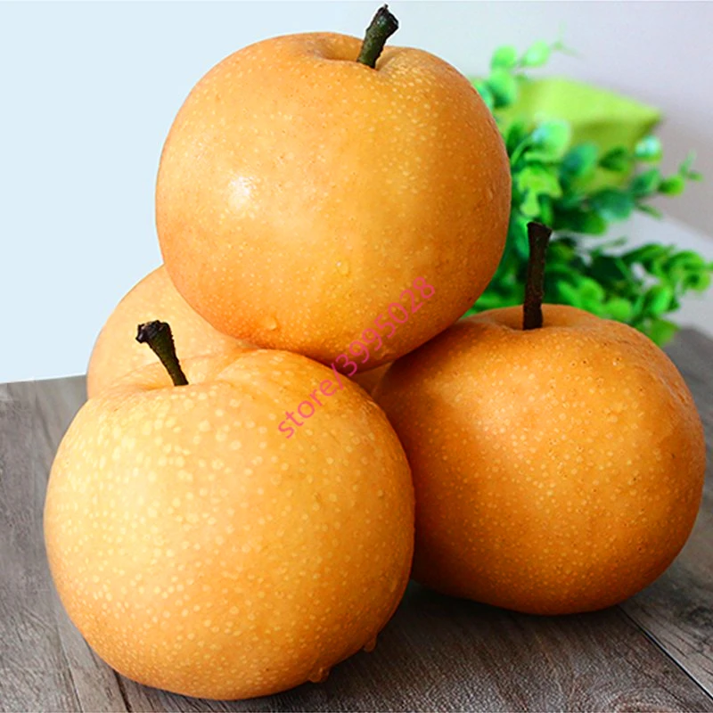 

20 Pcs Yellow Chinese Pear Tree Bonsai Sweet And Delicious Exotic Fruit Trees High Germination Rate Flower Plant