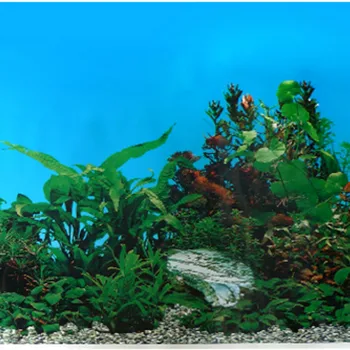 

non-self-adhesive HEIGHT 50CM 60CM Aquarium Accessories Background Stickers Fish Tank Decoration WATERPROOF Wallpaper Ornament