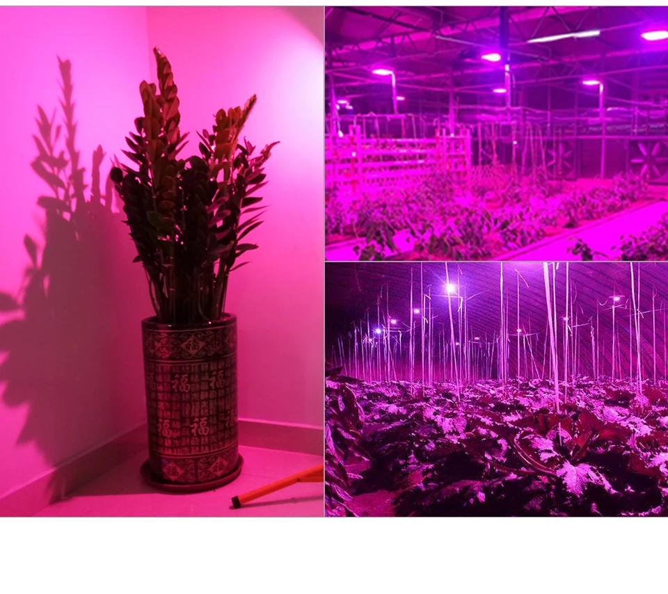 1pcs LED Phyto Lamp 10W 20W 30W LED Grow Light Chip Full Spectrum 110V 220V (11)