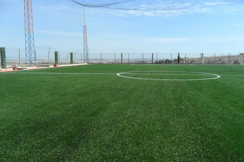 luxgrass football turf (1)
