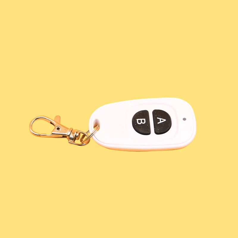 AC 220V 1CH 10A wireless remote control switch 2 Receiver &3 Transmitter home smart remote control switch 315/433 MHZ