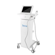 Chegada nova micro agulha & sistema fracionário rf microneedle fracionário portátil