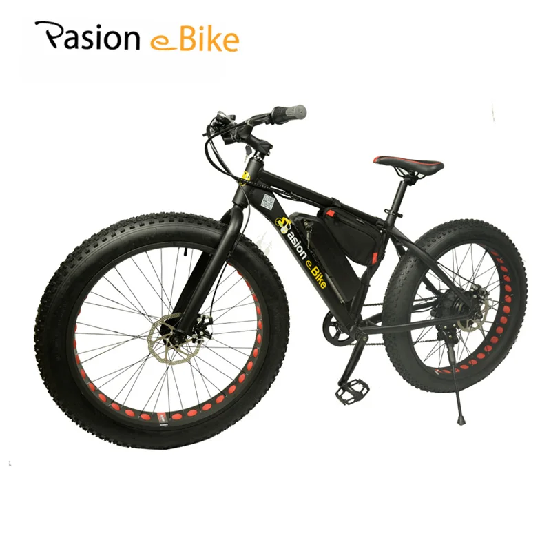 Buy PASION E BIKE 36V 500W powerful electric fat bike