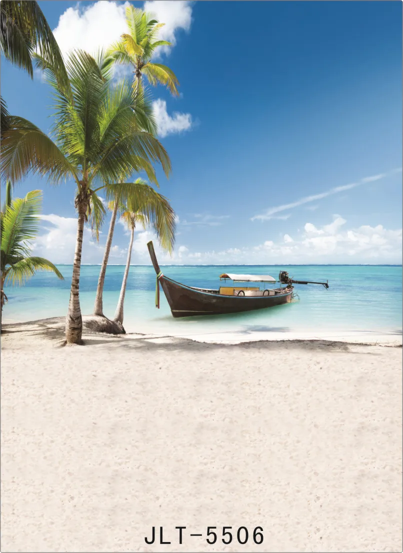 Meer Strand Sonnenschein Palm Baum Fotografie Hintergrunde Fur