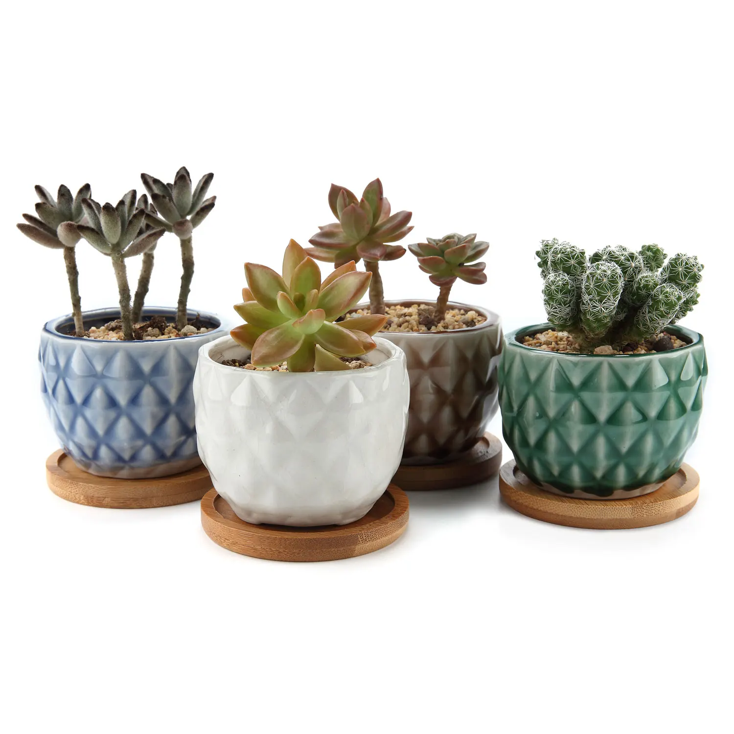

T4U 3.25" Ceramic Pineapple Succulent Cactus Planter Pot Set with FREE Bamboo Trays Full Color Pack of 4